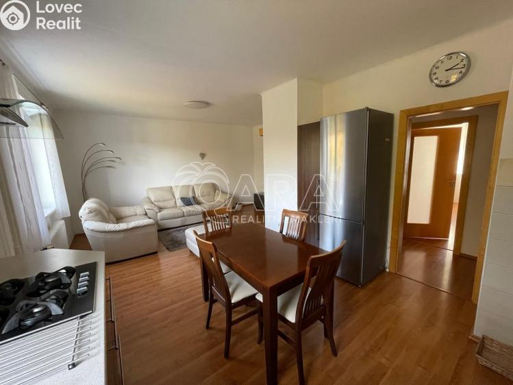 Оренда квартири 3+KK Plasy, Potoční 471 č. 1