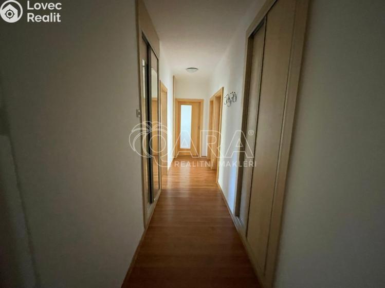 Оренда квартири 3+KK Plasy, Potoční 471 č. 8