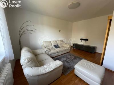 Rent apartment 3+KK Plasy, Potoční 471 č. 2