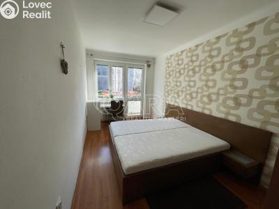 Rent apartment 3+KK Plasy, Potoční 471 č. 4