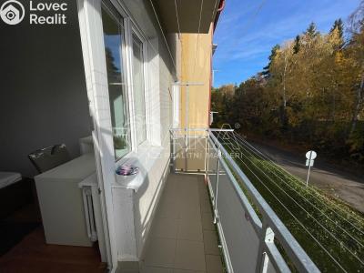 Rent apartment 3+KK Plasy, Potoční 471 č. 6