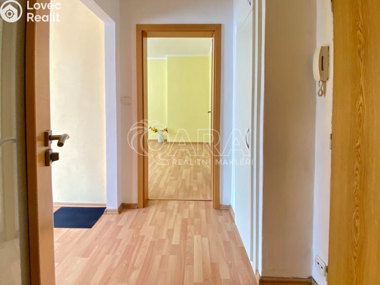 Pronájem bytu 1+1 Ostrava, náměstí Gen. Svobody č. 11