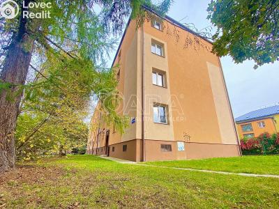 Rent apartment 1+1 Ostrava, náměstí Gen. Svobody č. 1