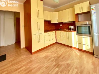 Rent apartment 1+1 Ostrava, náměstí Gen. Svobody č. 2
