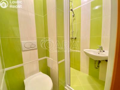 Rent apartment 1+1 Ostrava, náměstí Gen. Svobody č. 4