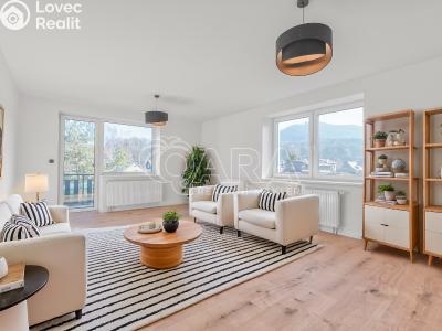 Sale apartment 3+1 Ostravice č. 1