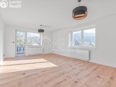 Prodej bytu 3+1 Ostravice č. 2