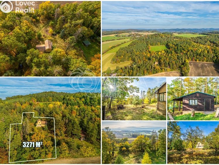 Prodej chaty Nové Dvory č. 2