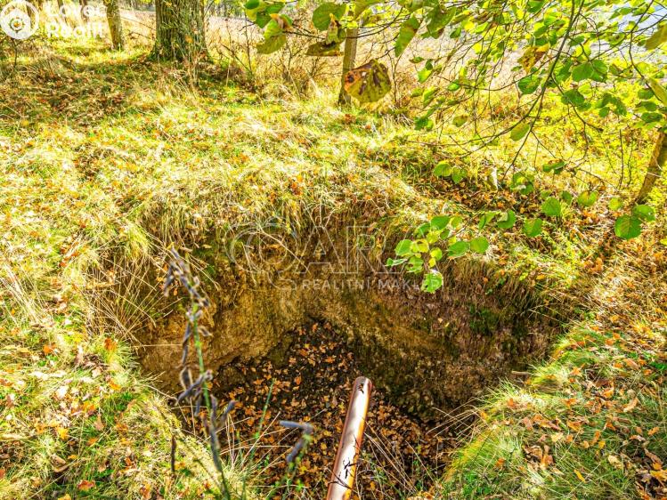 Prodej chaty Nové Dvory č. 28