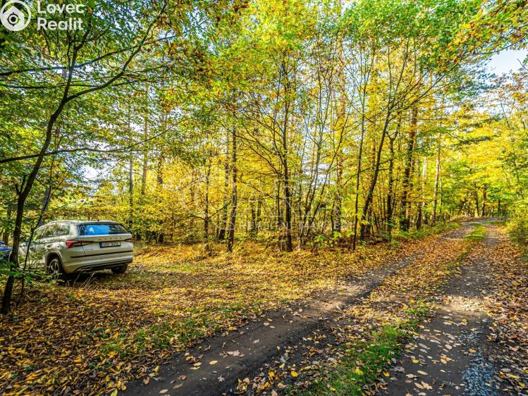 Prodej chaty Nové Dvory č. 30