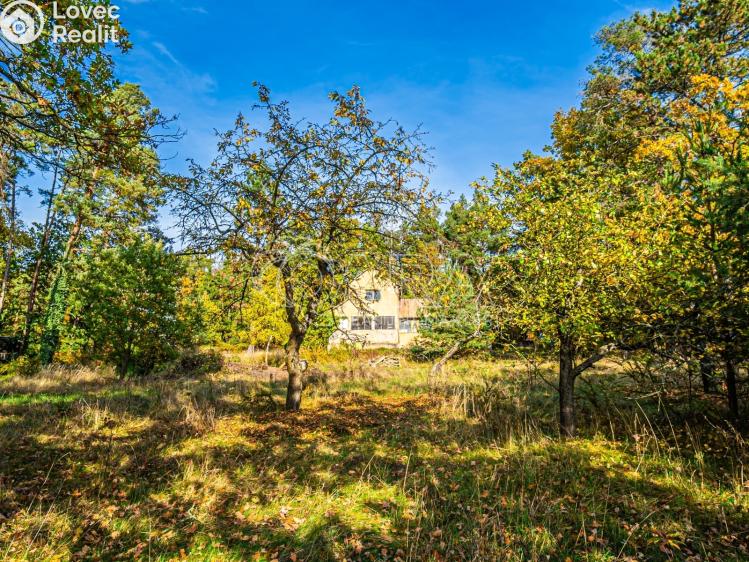 Продажа хижины Nové Dvory č. 21