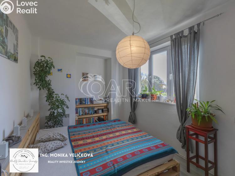 Prodej bytu 3+1 Frýdlant nad Ostravicí č. 15