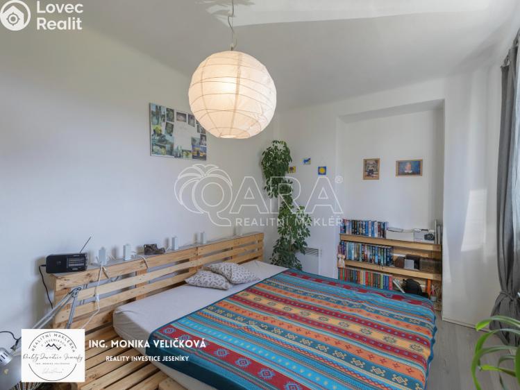 Prodej bytu 3+1 Frýdlant nad Ostravicí č. 16