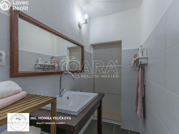 Prodej bytu 3+1 Frýdlant nad Ostravicí č. 21