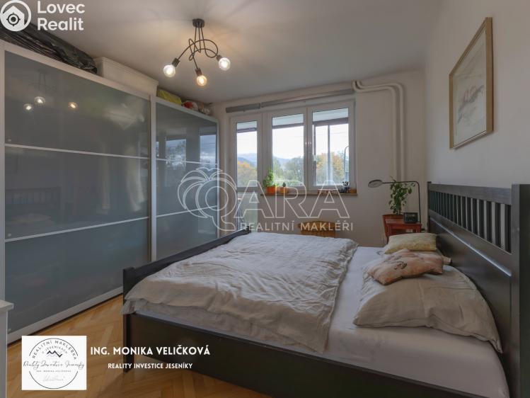 Prodej bytu 3+1 Frýdlant nad Ostravicí č. 27