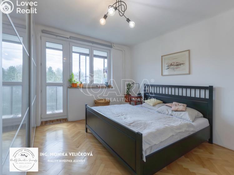 Prodej bytu 3+1 Frýdlant nad Ostravicí č. 28