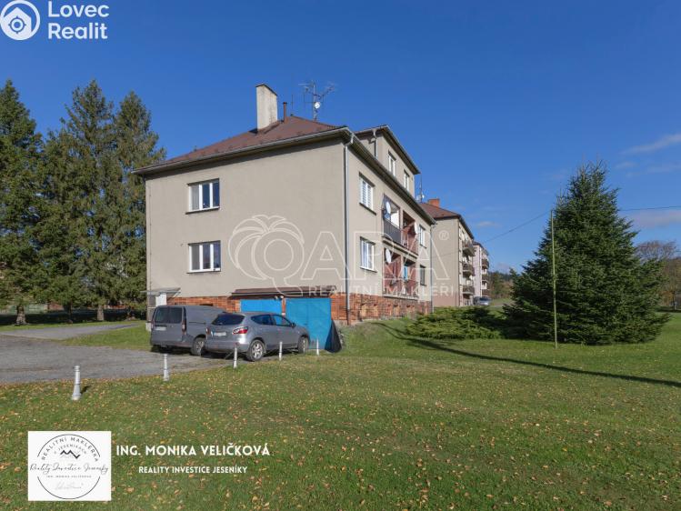 Prodej bytu 3+1 Frýdlant nad Ostravicí č. 33