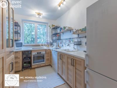 Sale apartment 3+1 Frýdlant nad Ostravicí č. 1