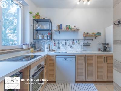 Sale apartment 3+1 Frýdlant nad Ostravicí č. 2