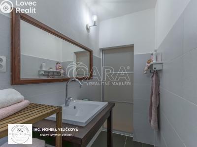 Продаж квартири 3+1 Frýdlant nad Ostravicí č. 21