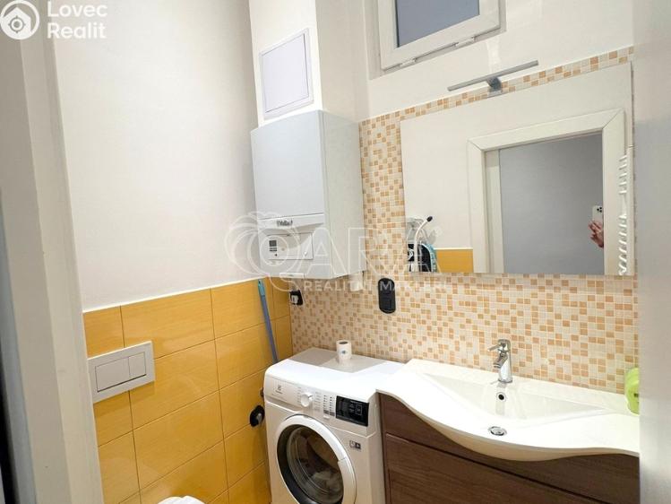 Pronájem bytu 1+1 Praha, Pavla Švandy ze Semčic 580/10 č. 10