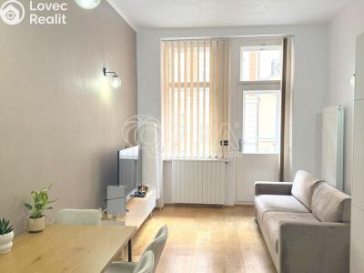 Rent apartment 1+1 Praha, Pavla Švandy ze Semčic č. 4