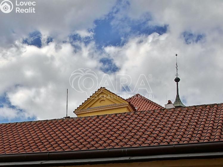 Pronájem bytu 1+1 Praha, Ostrovní 146/16 č. 8