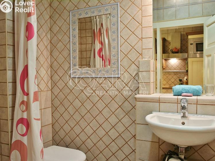 Pronájem bytu 1+1 Praha, Ostrovní 146/16 č. 4