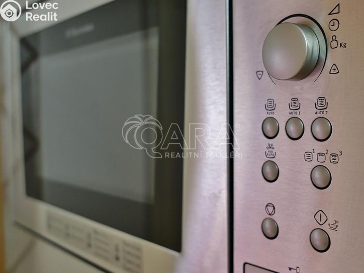 Pronájem bytu 1+1 Praha, Ostrovní 146/16 č. 7