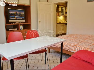 Pronájem bytu 1+1 Praha, Ostrovní č. 3