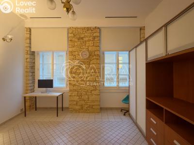 Pronájem bytu 1+1 Praha, Ostrovní č. 4