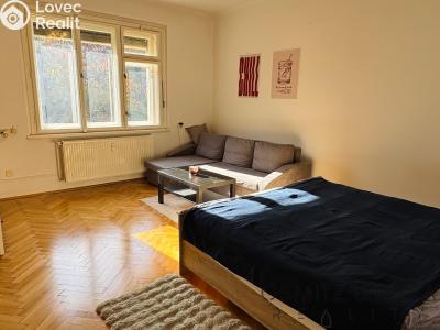 Rent apartment 1+1 Praha, Franty Kocourka č. 6