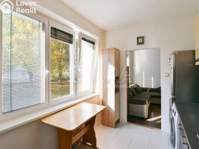 Sale apartment 2+1 Praha, Vítkovická 373 č. 5