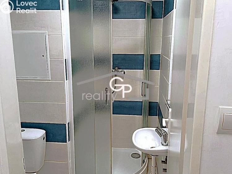 Pronájem bytu 1+KK České Budějovice, Pekárenská č. 5