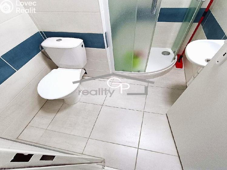 Pronájem bytu 1+KK České Budějovice, Pekárenská č. 7