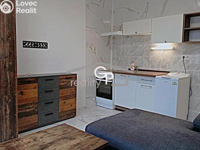 Pronájem bytu 1+KK České Budějovice, Pekárenská č. 1