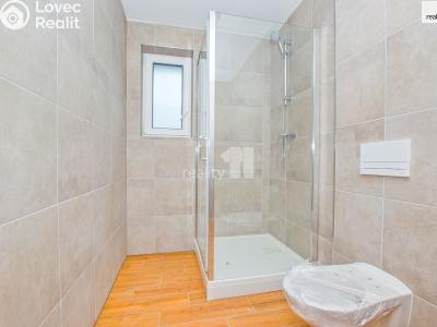 Pronájem bytu 2+KK Liberec, Londýnská č. 6