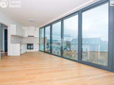 Rent apartment 2+KK Liberec, Londýnská č. 6