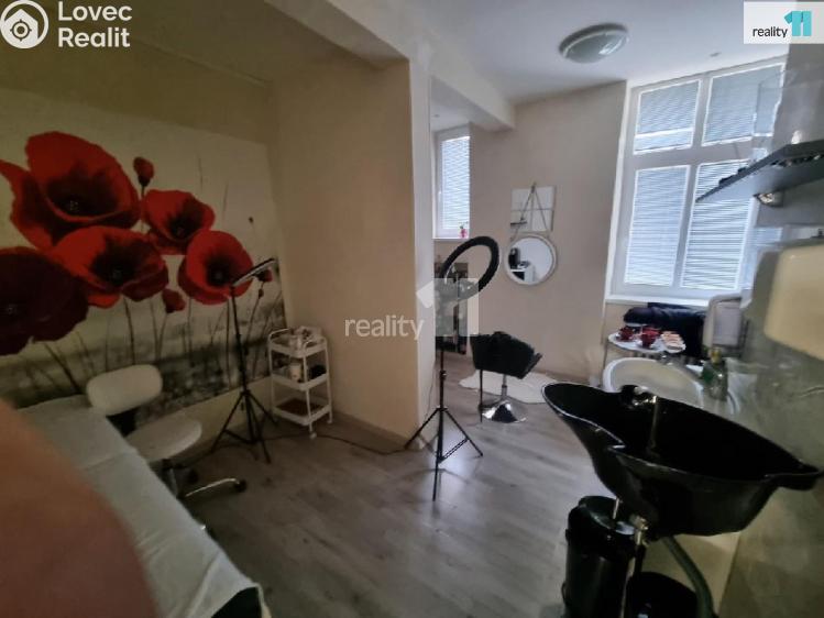 Rent commercial space Ostrava, Bendlova č. 5