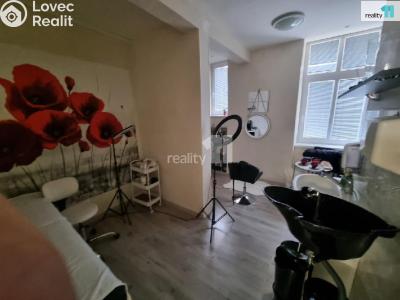 Rent commercial space Ostrava, Bendlova č. 5