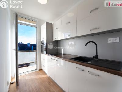 Pronájem bytu 2+1 Lhenice, Netolická č. 4