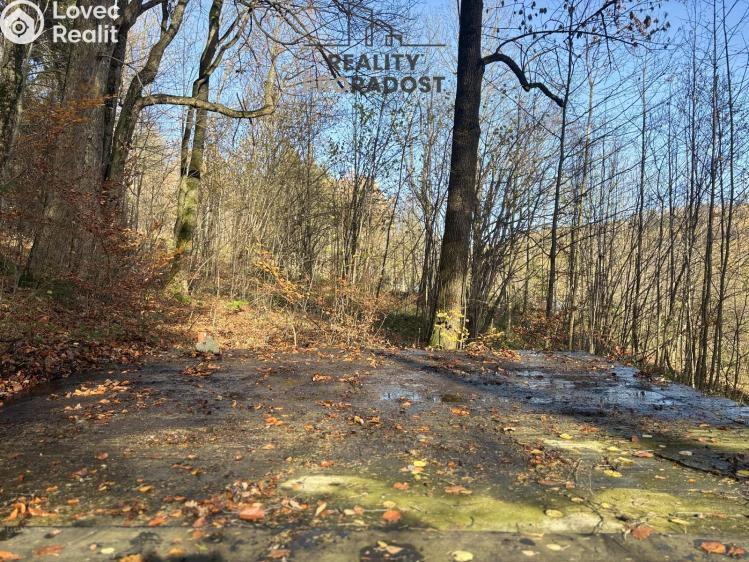 Prodej chaty Petrovice č. 9