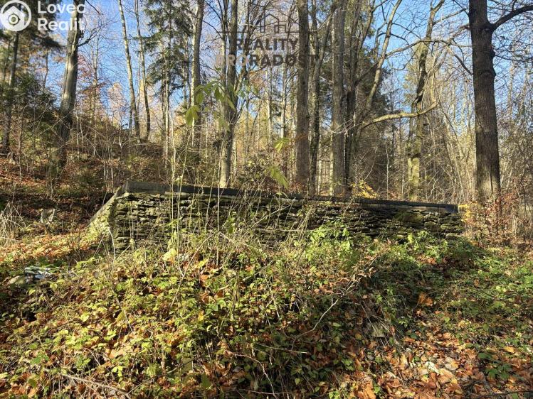 Prodej chaty Petrovice č. 2