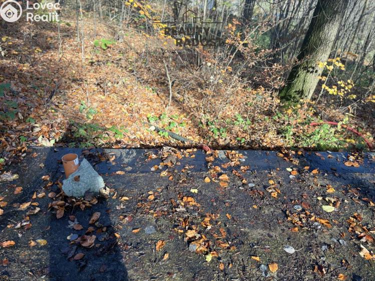 Prodej chaty Petrovice č. 5