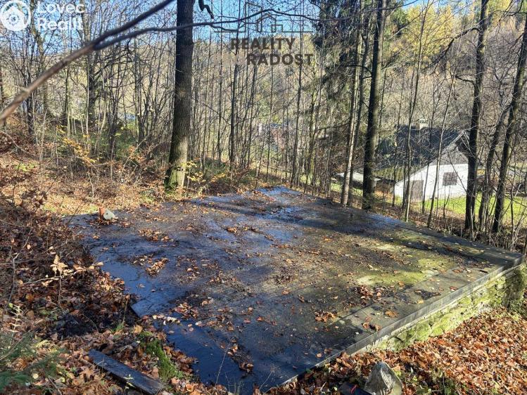 Sale hut Petrovice č. 1