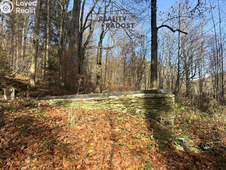 Sale hut Petrovice č. 3