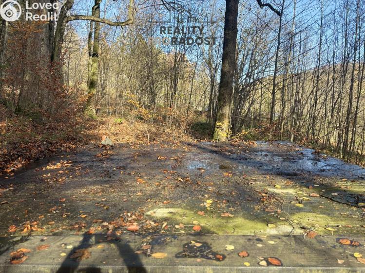 Sale hut Petrovice č. 4