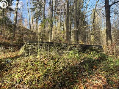 Prodej chaty Petrovice č. 2