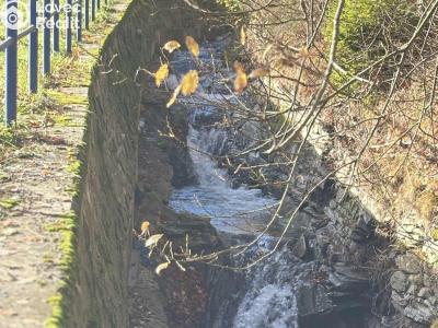 Prodej chaty Petrovice č. 6