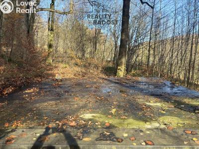 Prodej chaty Petrovice č. 4